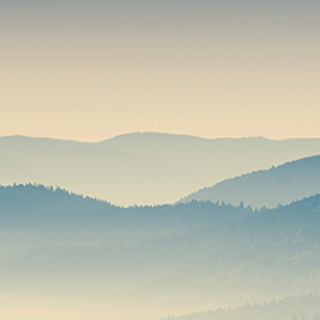 无限拨打短信软件