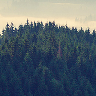 无限拨打短信软件