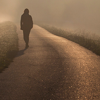 网页版呼叫在线轰炸电话