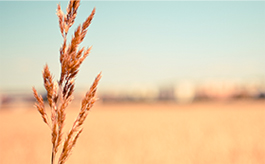 短信呼叫轰炸app